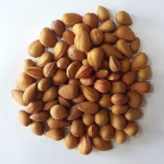 بادام کوهی